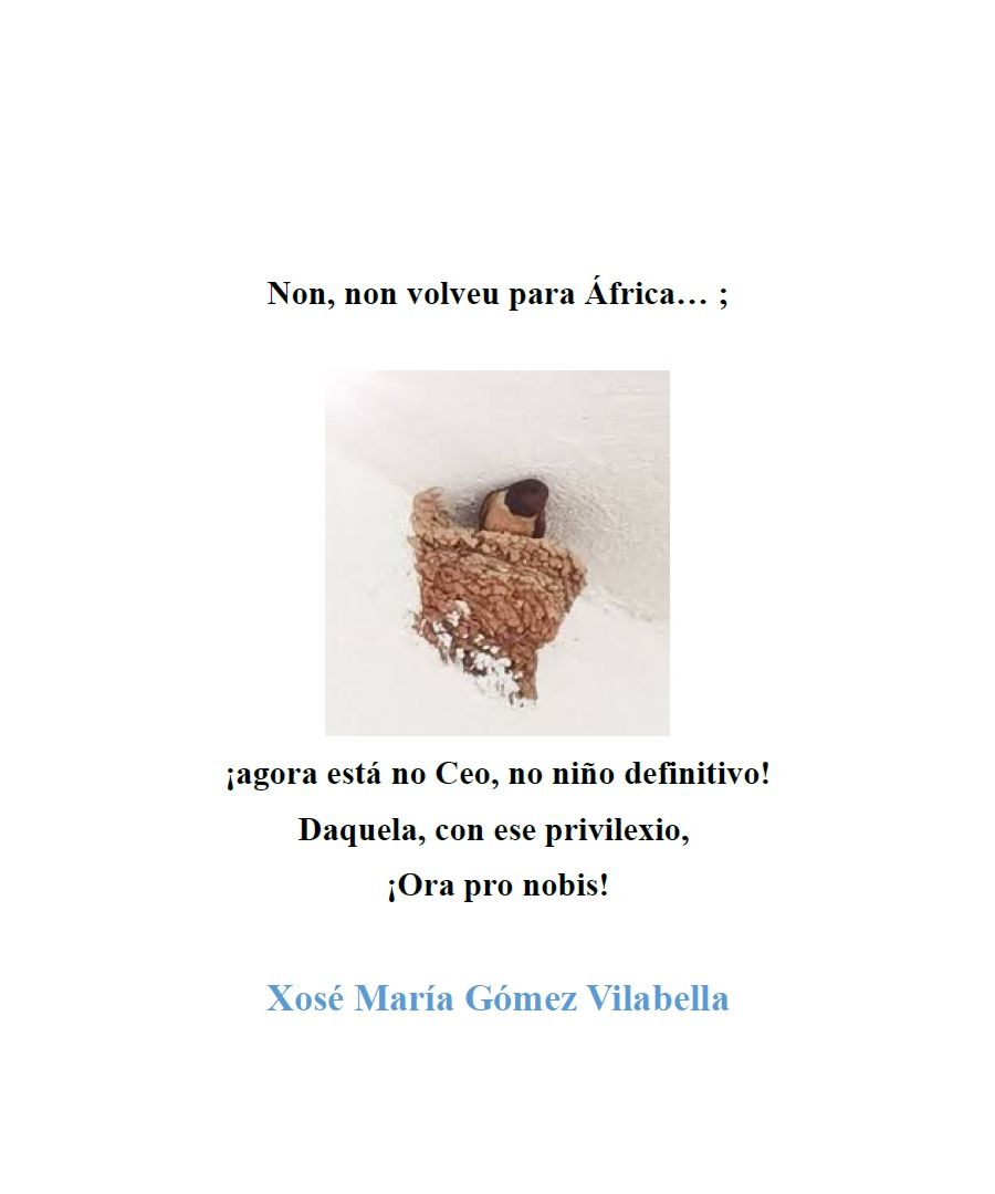 Non, non volveu para África (Xosé María Gómez Vilabella)