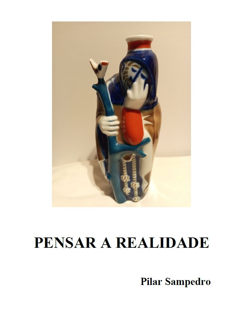Pensar a Realidade (Pilar Sampedro)