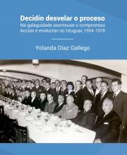 Decidín desvelar o proceso (Yolanda Díaz Gallego)