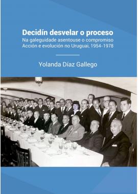 Decidín desvelar o proceso (Yolanda Díaz Gallego)